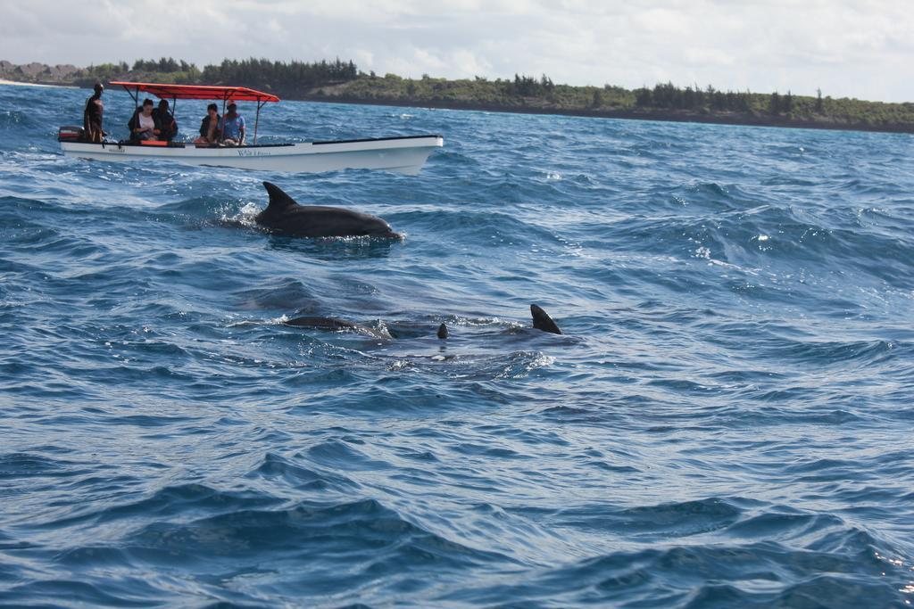 Dolphin Safari Lodge Mahonda Buitenkant foto